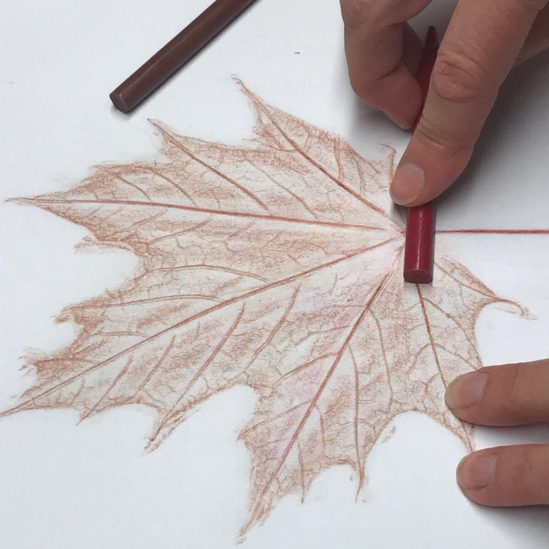 Hands sketching a maple leaf with red charcoal on white paper.