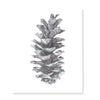 Pine Cone Art Print, done in pen and ink pointillism.