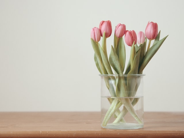 Pink tulips in a clear glass vase on a wooden table, bringing fresh spring color indoors