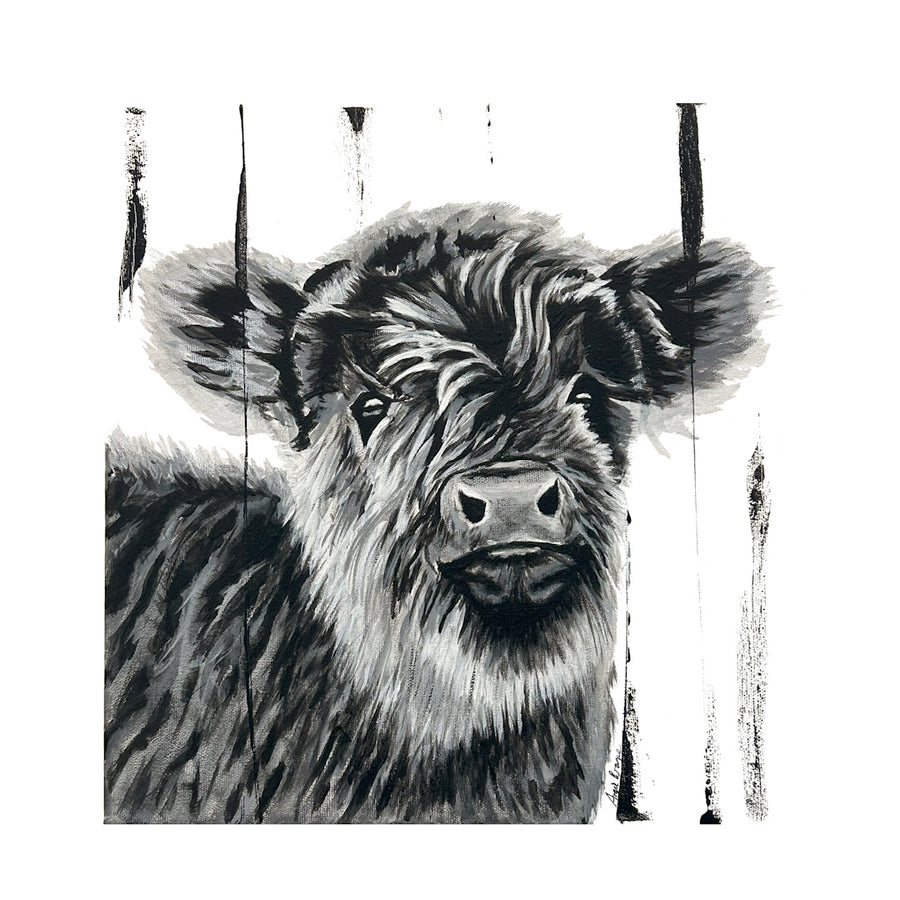 Baby Calf-'Little Roy'