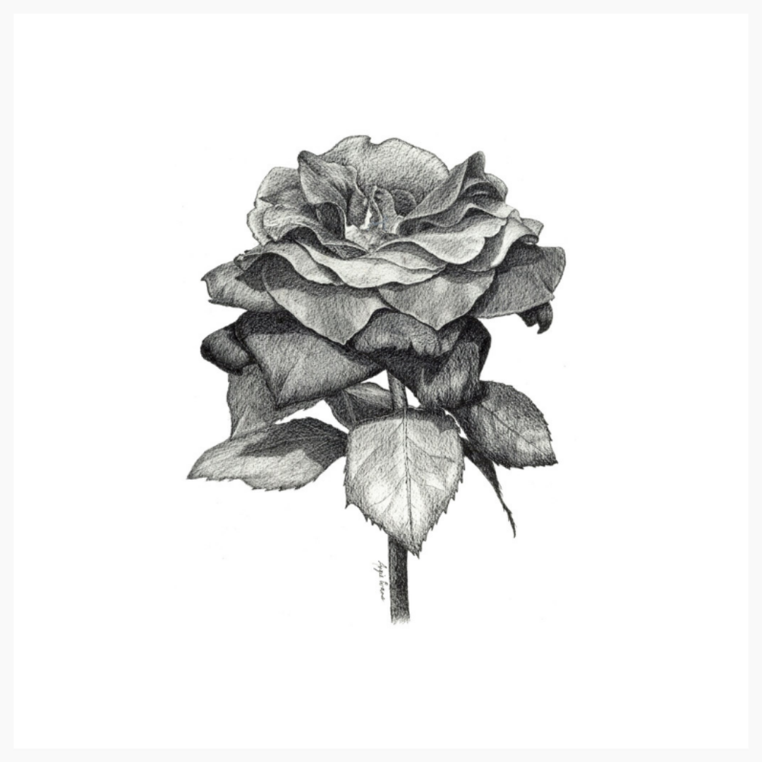 Black Rose Original Artwork
