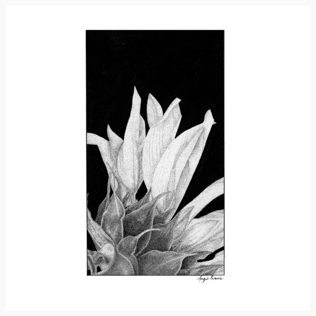 The Sunflower Original Artwork