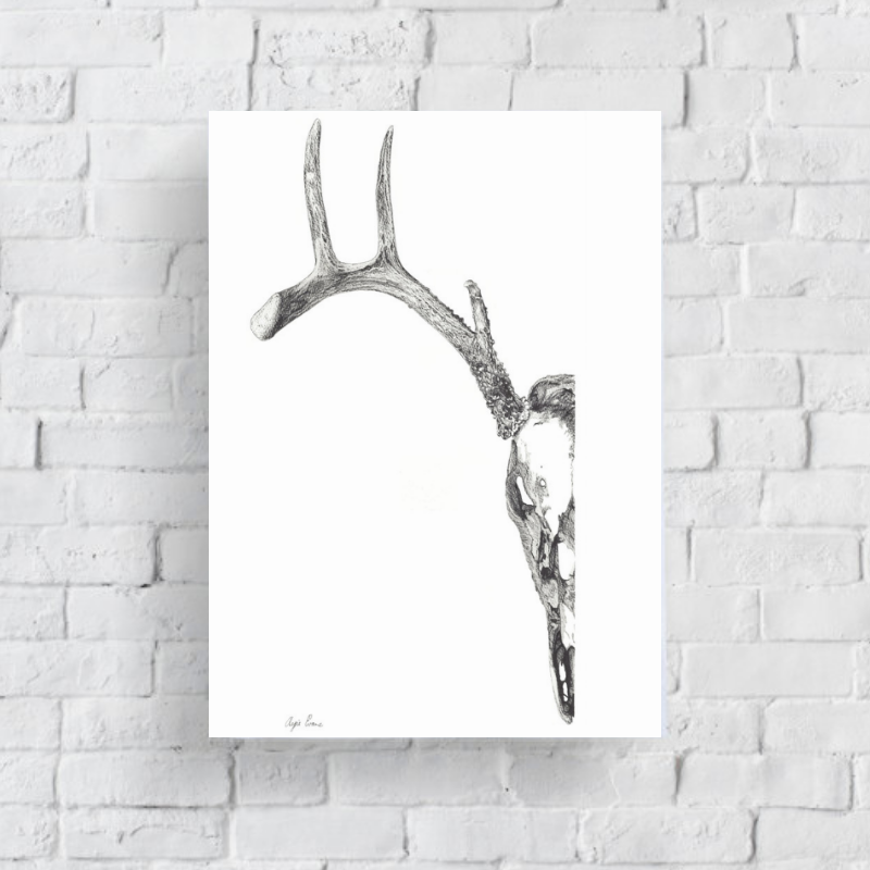 Half Deer Skull Art Print-Pen and ink-Brush Point Studio