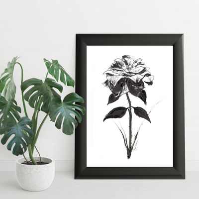 Enchanted Black Rose Art Print-Brush Point Studio