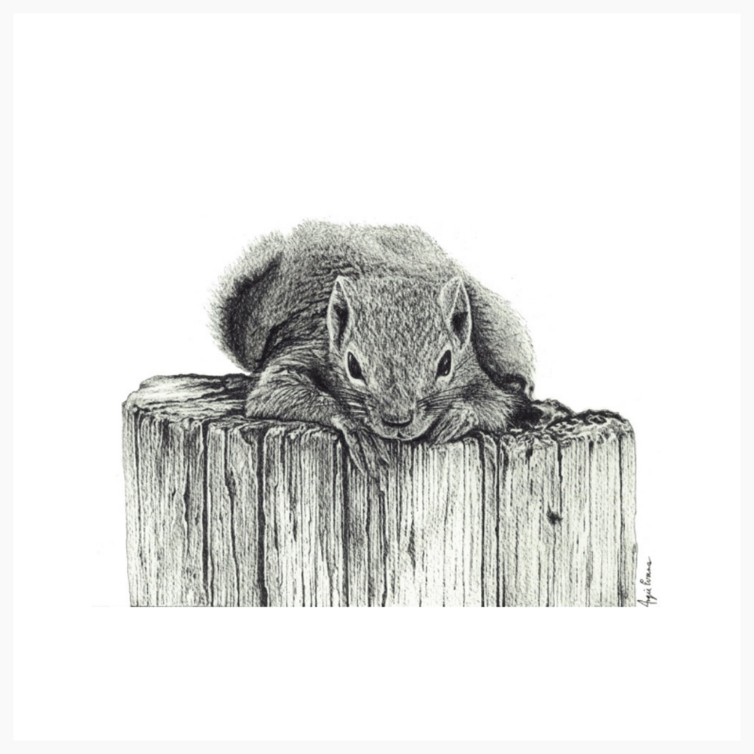 King of the Stump Original Artwork-Brush Point Studio