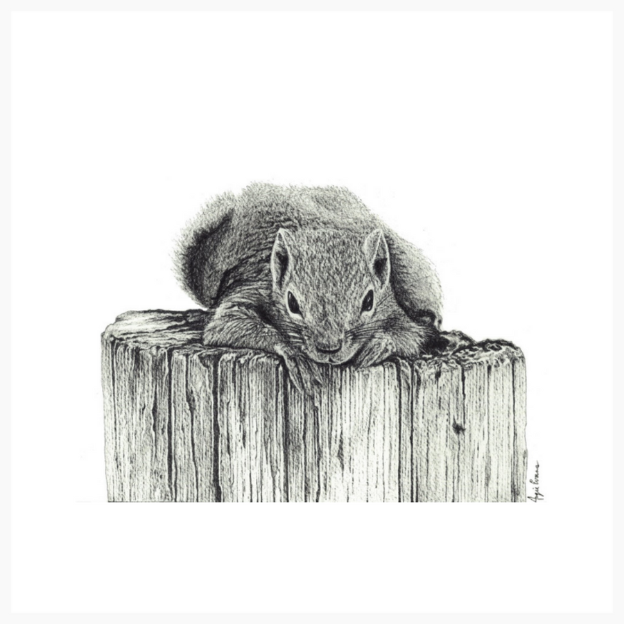 King of the Stump Original Artwork-Brush Point Studio