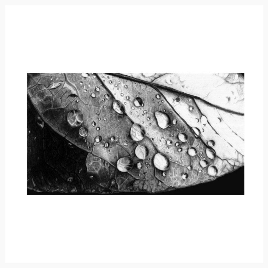 Turning A New Leaf Original Artwork