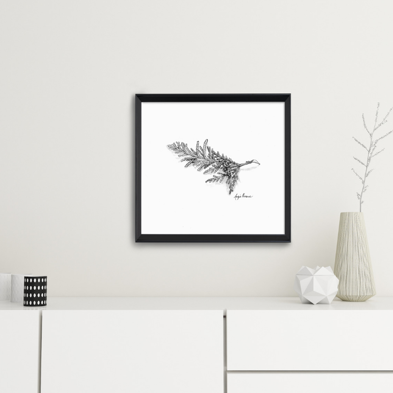 Cedar Twig Art Print-Pen and ink-Brush Point Studio