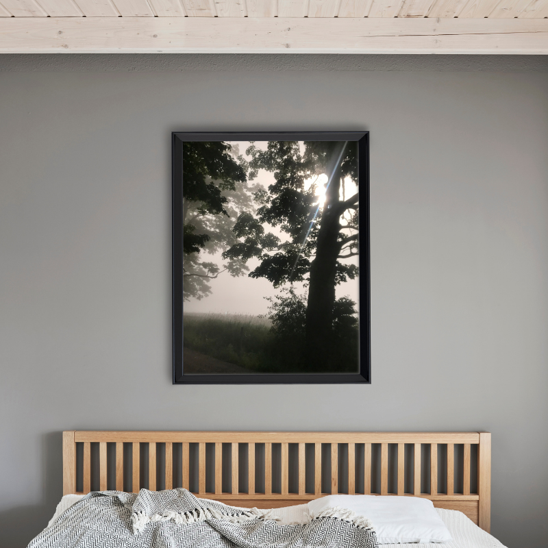 Foggy Forest Landscape