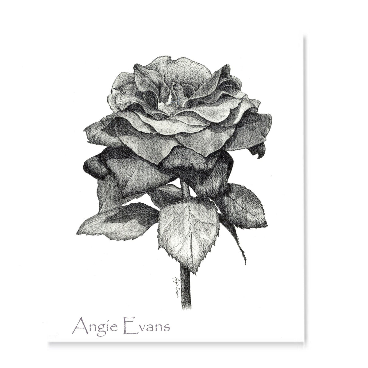 Black Rose Original Artwork
