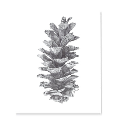 Pine Cone Art Print, done in pen and ink pointillism.