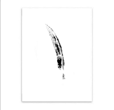 Single Feather Print-Brush Point Studio