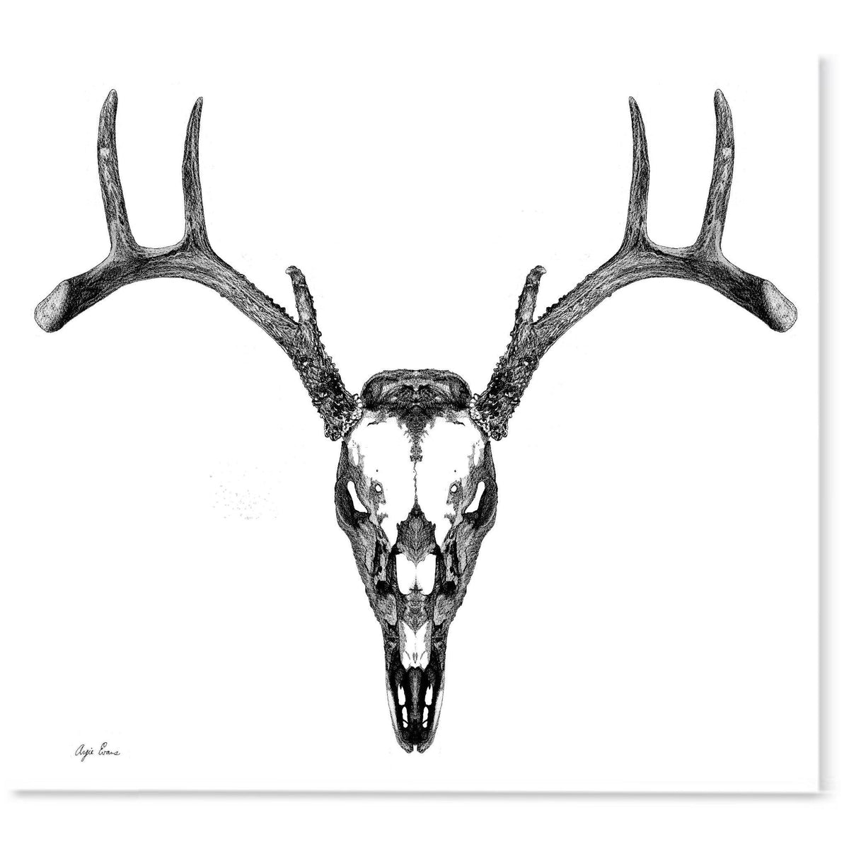 Full Deer Skull Art Print-Pen and ink-Brush Point Studio
