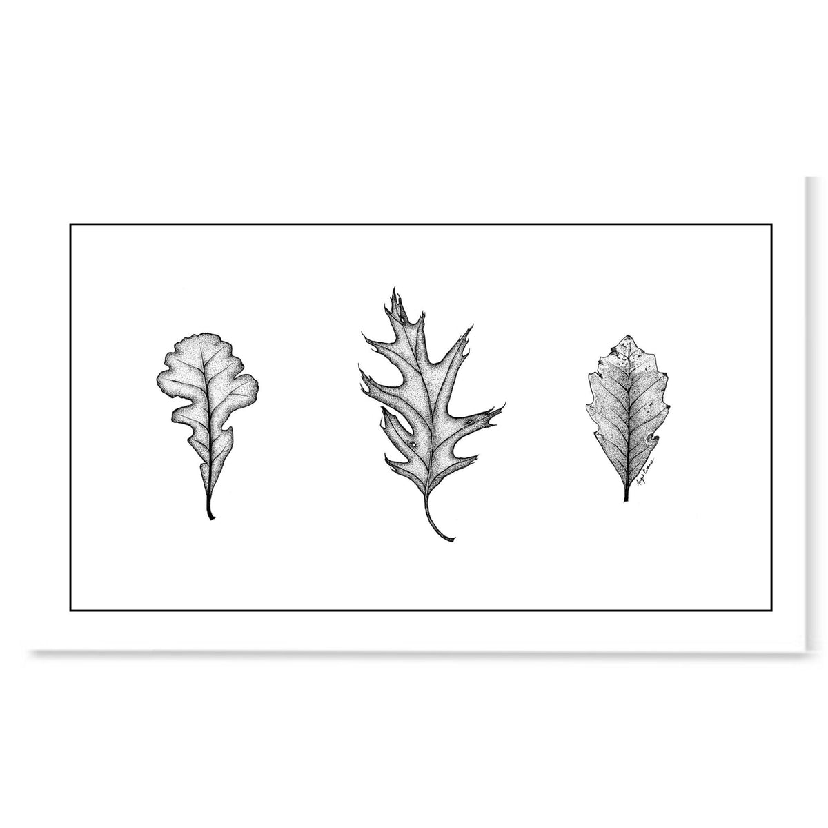 Trio of Oak Leaves Art Print-Pen and ink-Brush Point Studio
