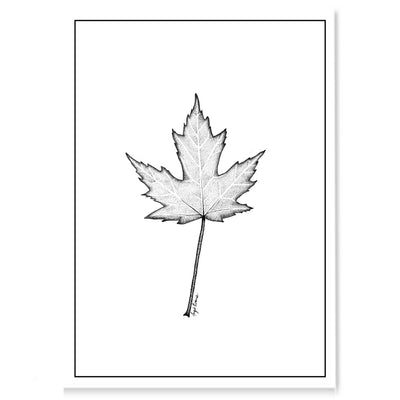 Maple Leaf Art Print-Pen and ink-Brush Point Studio