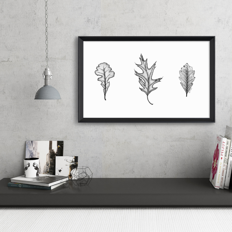 Trio of Oak Leaves Art Print