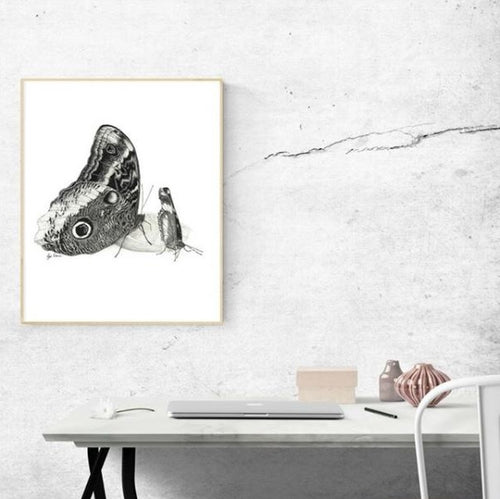 Owl Butterfly Art Print-Pen and ink-Brush Point Studio