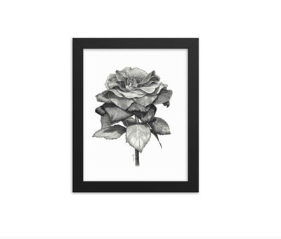 Black Rose Art Print