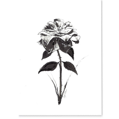 Enchanted Black Rose Art Print-Brush Point Studio