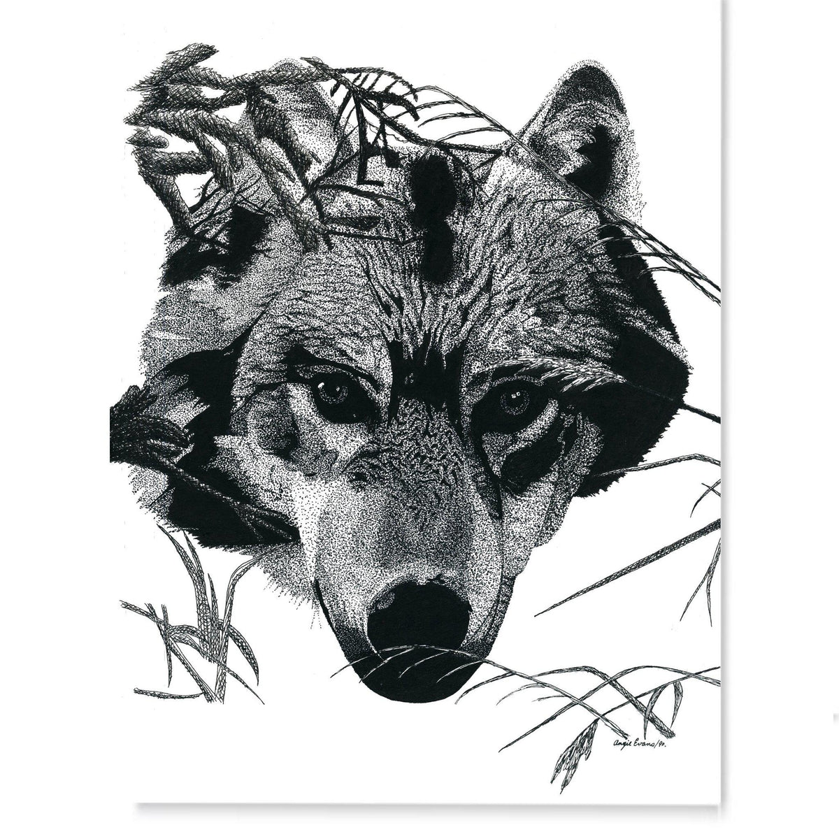 Patience of the Wolf Art Print-Pen and ink-Brush Point Studio